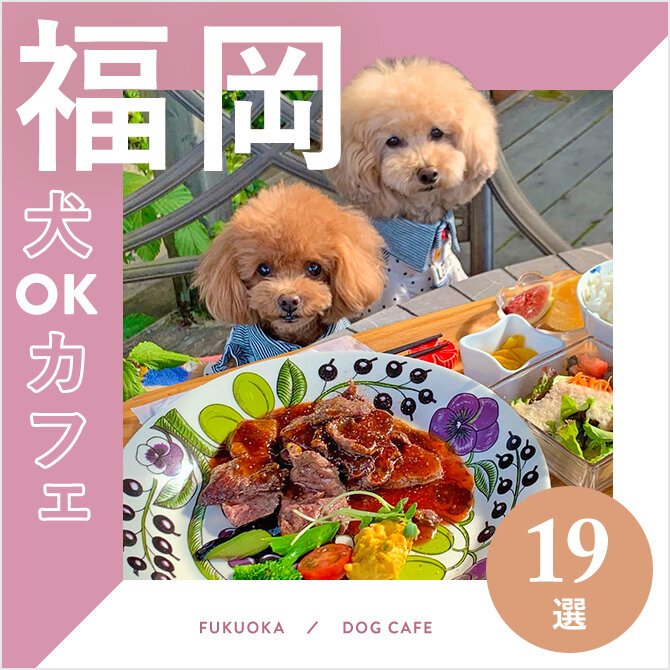 【福岡ドッグカフェ19選】ペット・愛犬同伴OK！福岡でおすすめドッグカフェ特集｜2024年最新版