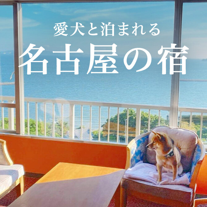 名古屋のペットと泊まれる宿｜2026年最新宿一覧