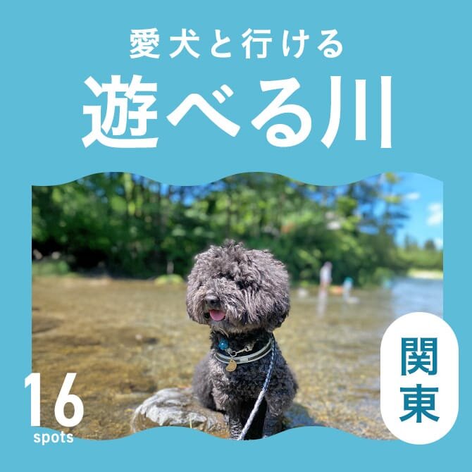 【川遊び関東16選】愛犬と行けるおすすめの川遊びスポット