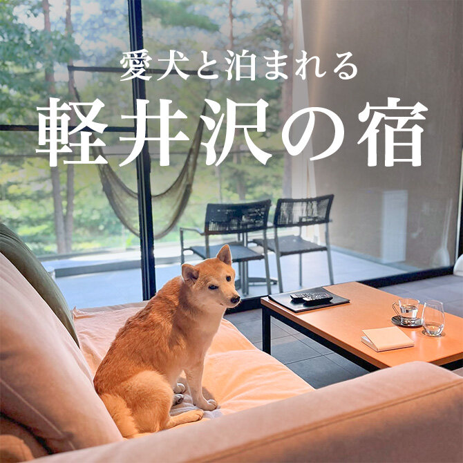 軽井沢のペットと泊まれる宿ランキング｜2026年最新宿一覧
