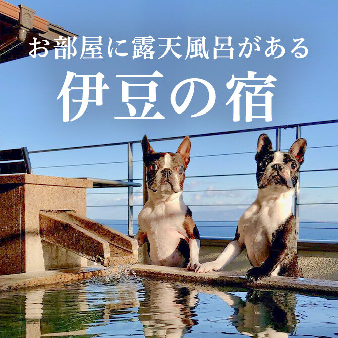 【静岡・伊豆】犬と泊まれる露天風呂付き客室があるお宿14選