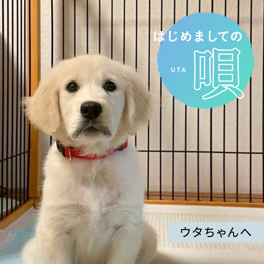 はじめましての唄