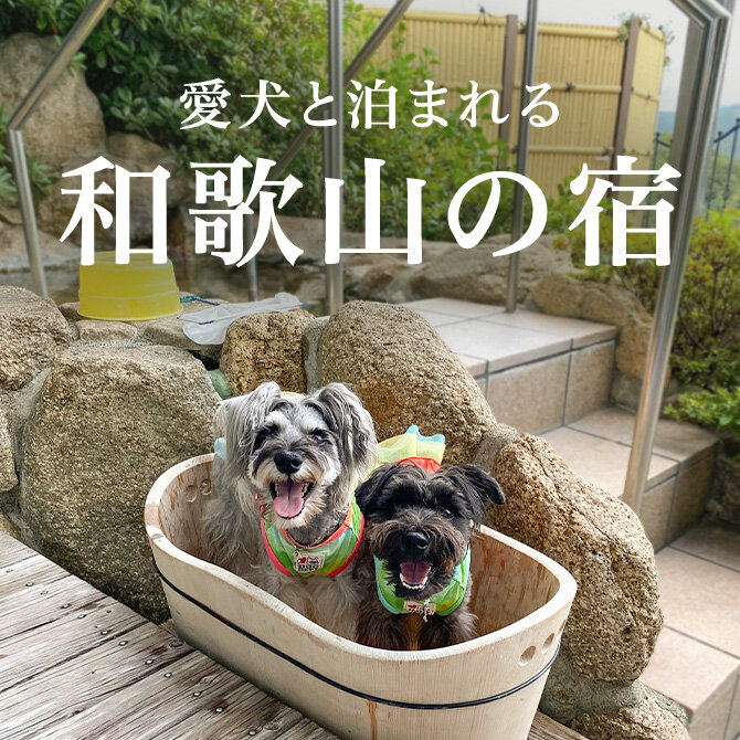 和歌山のペットと泊まれる宿ランキング｜2026年最新宿一覧