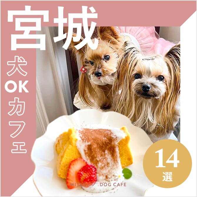 【宮城ドッグカフェ・犬と行けるカフェ14選】ワンコメニューのあるカフェや大型犬店内OKカフェも！