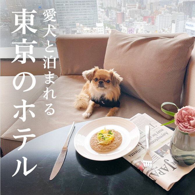 東京のペットと泊まれるホテル｜最新一覧