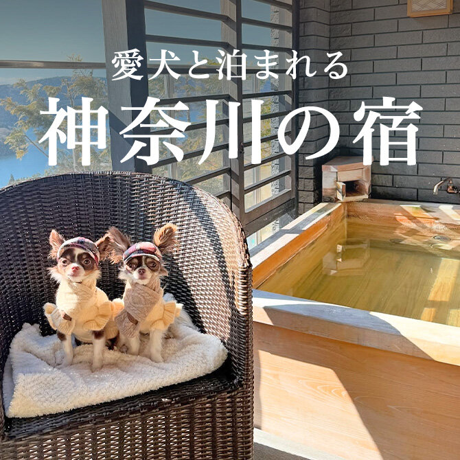 神奈川のペットと泊まれる宿｜最新人気宿一覧