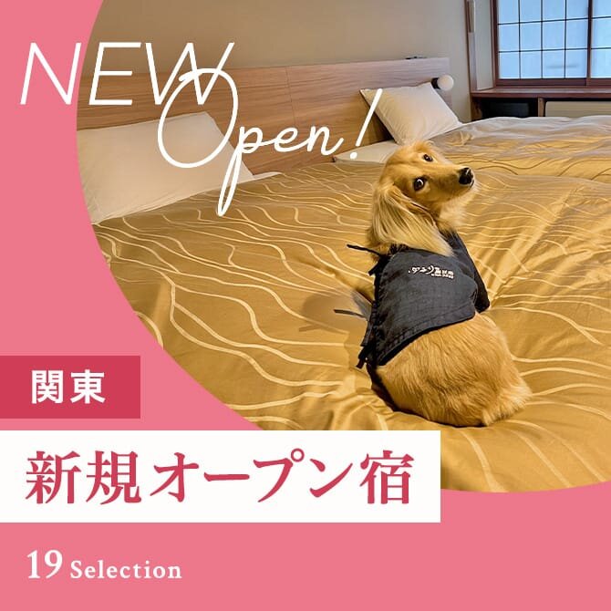 関東のペットと泊まれる新規オープンの宿 2024年〜2025年版｜最新犬と泊まれる宿