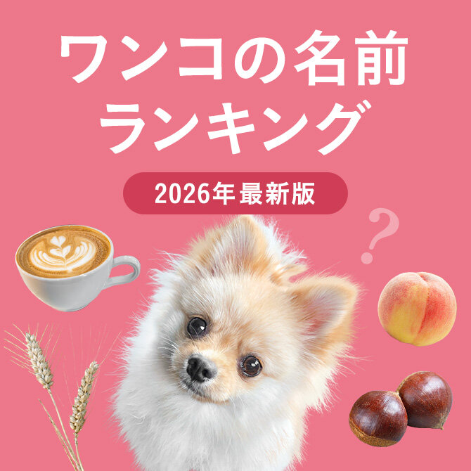 【2026年最新版・犬の名前ランキング】どんな犬の名前が人気？名付けに役立つお名前ランキング