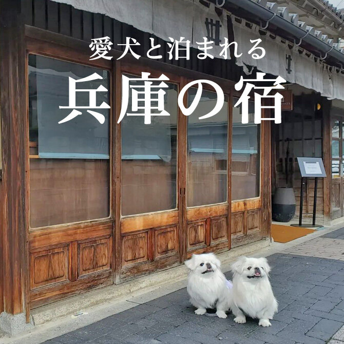 【兵庫の犬と泊まれる宿 13選】兵庫で人気のペットと泊まれる宿