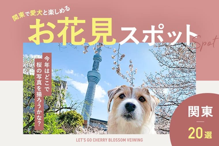 関東】愛犬と桜が見れるお花見スポット20選！人気のお花見映えスポット