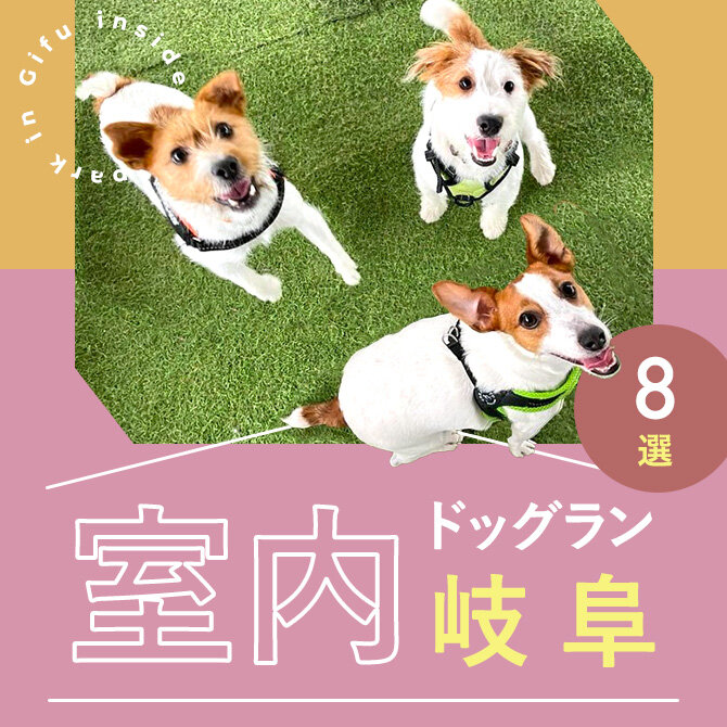【岐阜の室内ドッグラン8選】雨の日も真夏日でも！岐阜で人気の室内ドッグラン