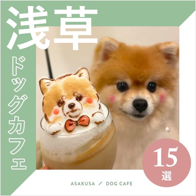 【浅草ドッグカフェ15選】大型犬店内同伴OK！ドッグラン併設も！｜2023年版