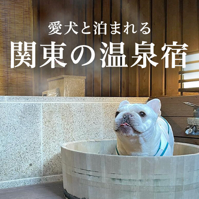 【関東】ペットと泊まれる温泉宿人気ランキングTOP25