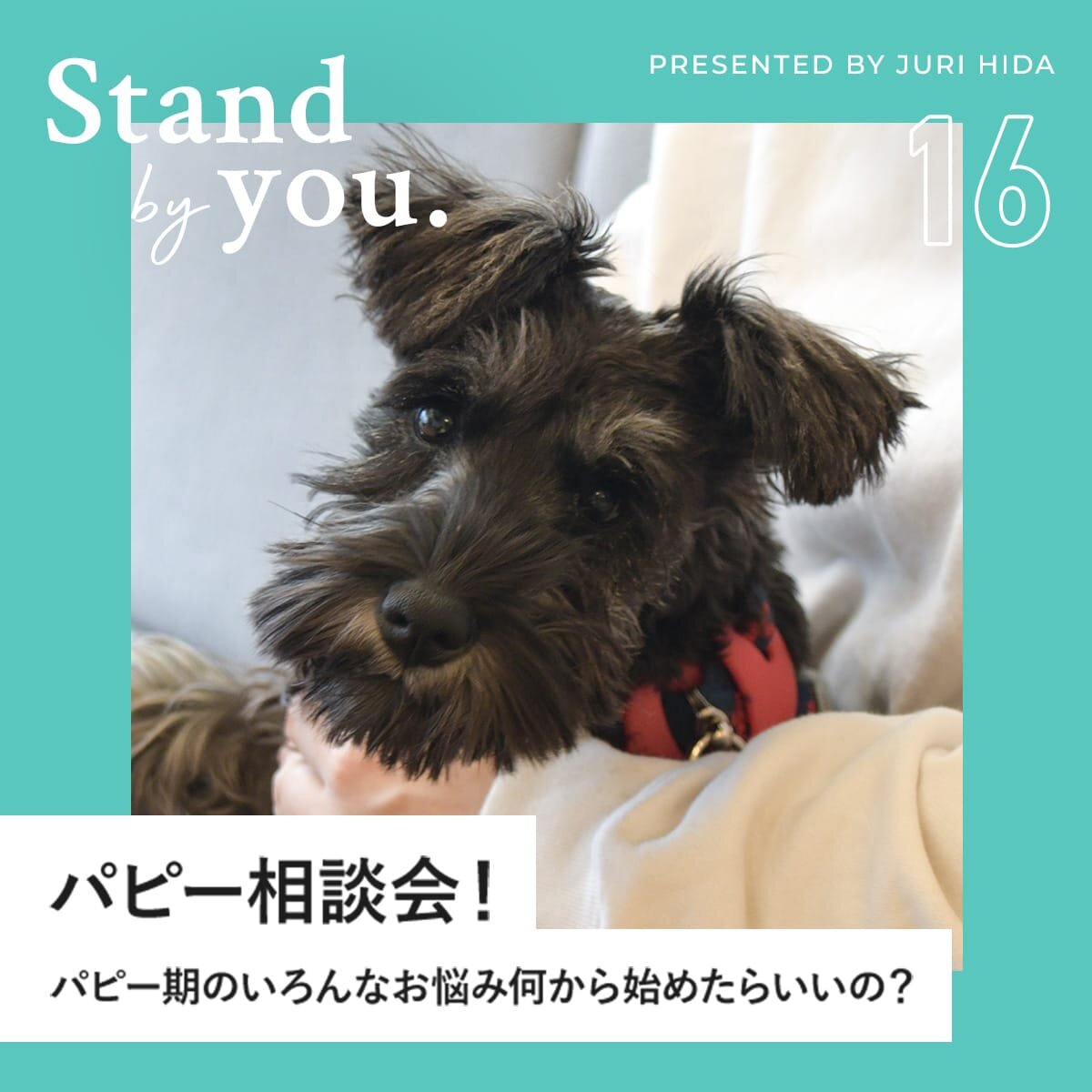 【パピー相談会】様々なお悩みのあるパピー期に飼い主さんは何から始めたらいいの？