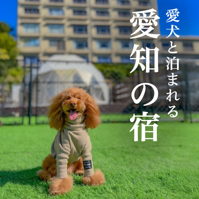 愛知のペットと泊まれる宿ランキング｜2026年最新版