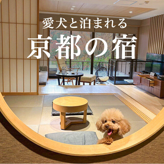 京都のペットと泊まれる宿ランキング｜高級温泉宿・ホテル