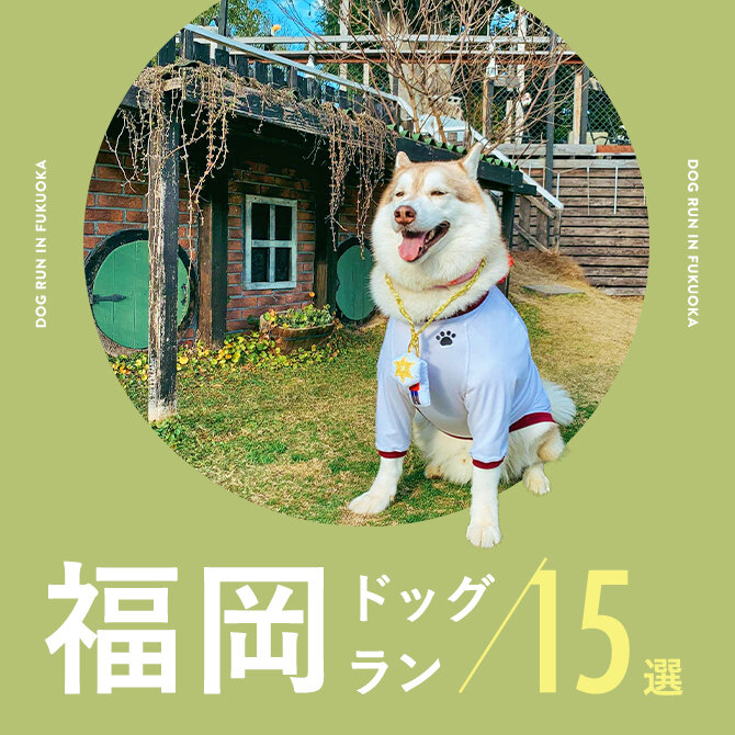 【福岡ドッグラン15選】無料やカフェ併設など福岡でおすすめのドッグラン｜2024年最新版
