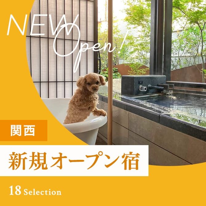 関西のペットと泊まれる新規オープンの宿 2024年〜2025年版｜最新犬と泊まれる宿