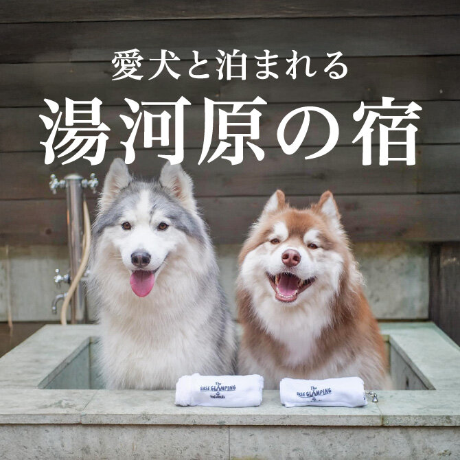 湯河原のペットと泊まれる人気宿｜犬と泊まれる温泉宿・温泉旅館