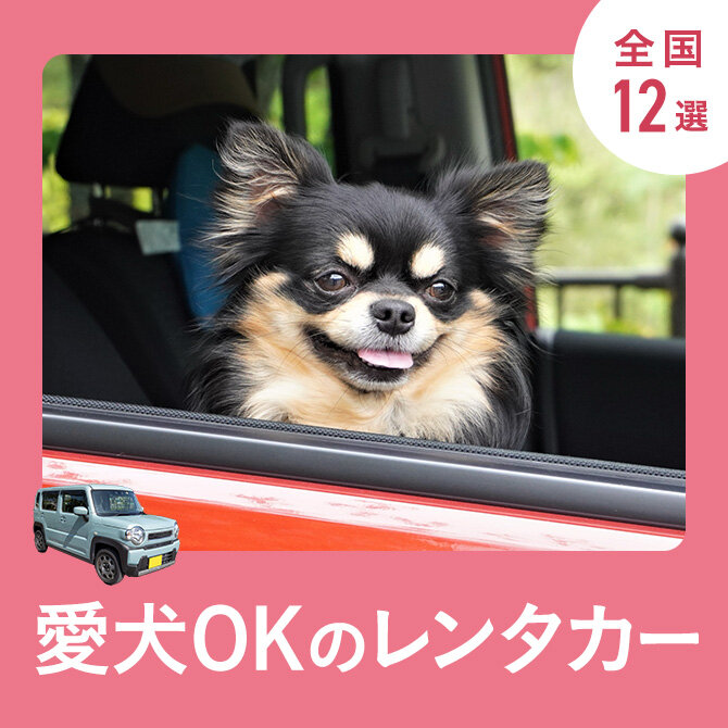 【犬OKなレンタカー12選】ペットも乗車できる全国のレンタカーまとめ