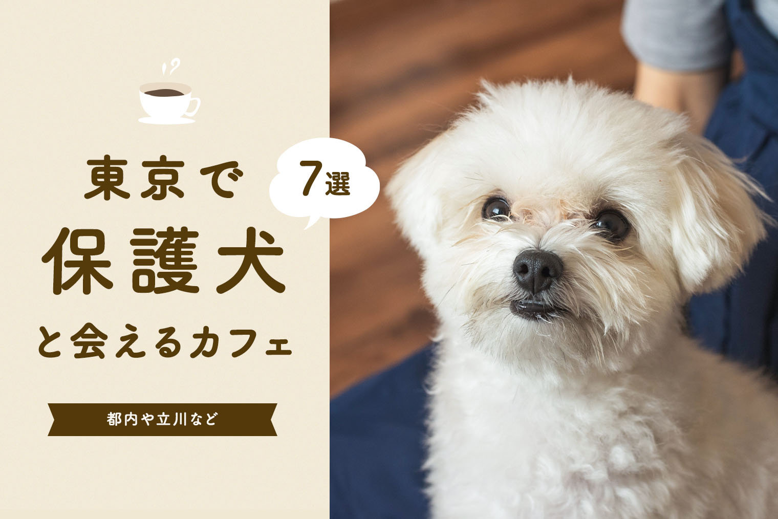 保護犬カフェ東京 立川の保護犬カフェ 東京で保護犬と会えるカフェ7選