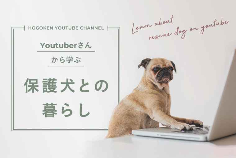 保護犬youtubeチャンネル】リマちゃんやアッチャンから、保護犬との