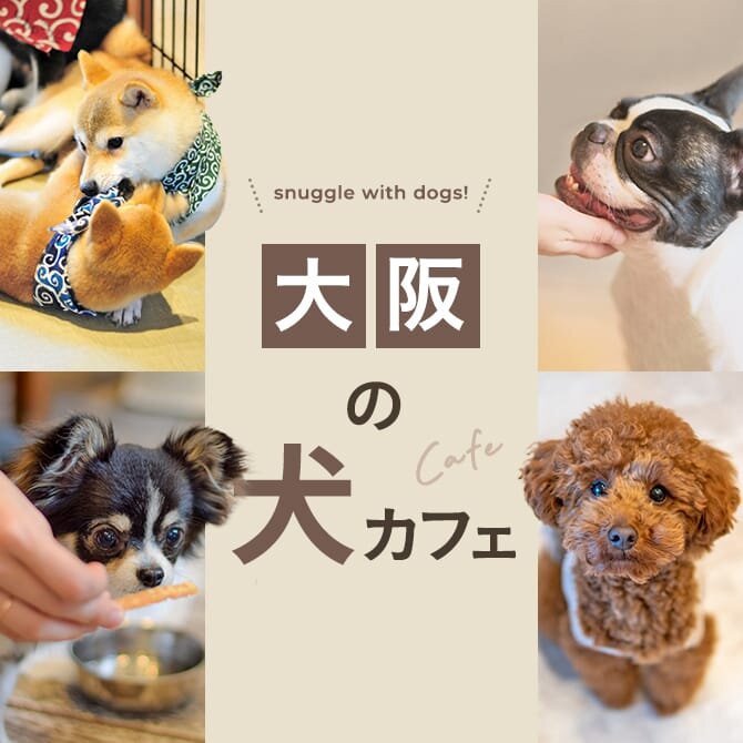 【大阪の犬と触れ合えるカフェ14選】大阪で人気の犬と触れ合える犬カフェ