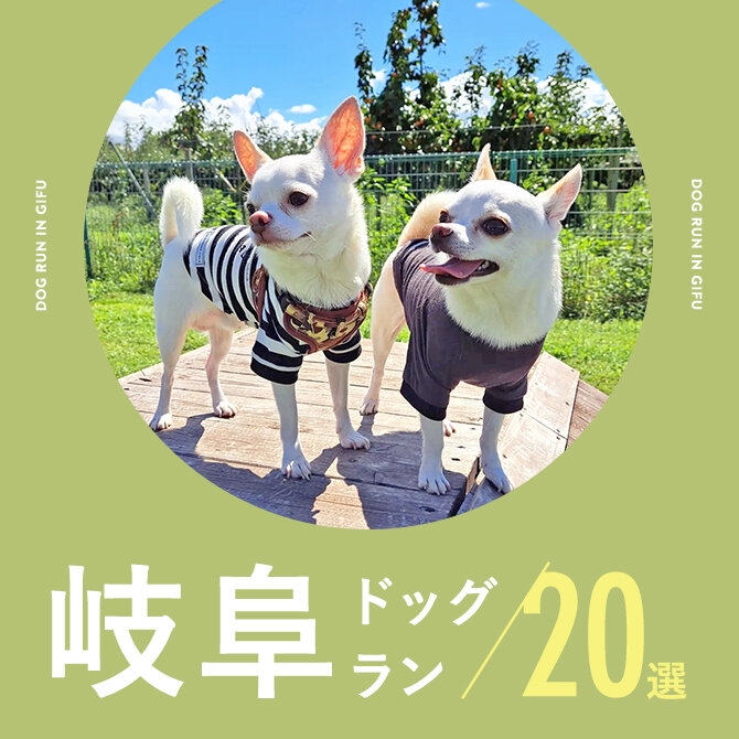 【岐阜ドッグラン】岐阜のおすすめドッグラン20選。カフェ併設や無料も