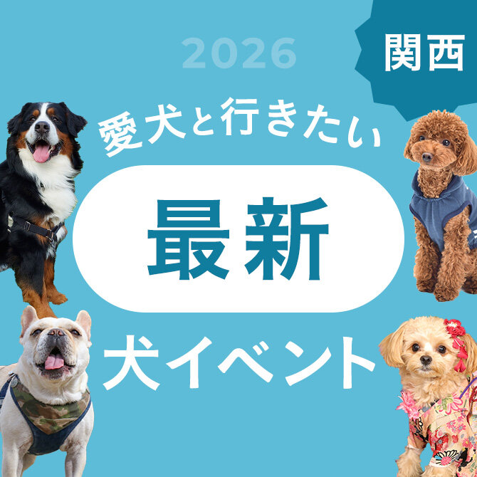 【2026年版】関西で愛犬と行きたいドッグイベント情報