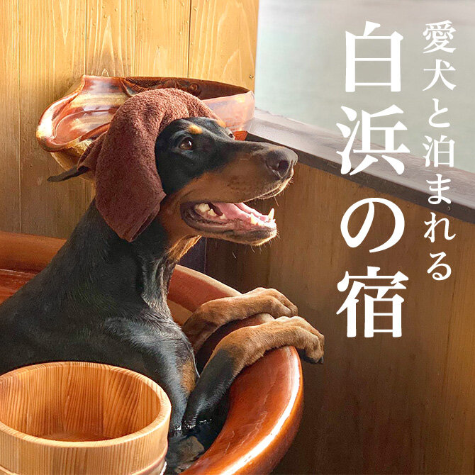 白浜のペットと泊まれる宿ランキング｜南紀白浜2026年最新宿一覧