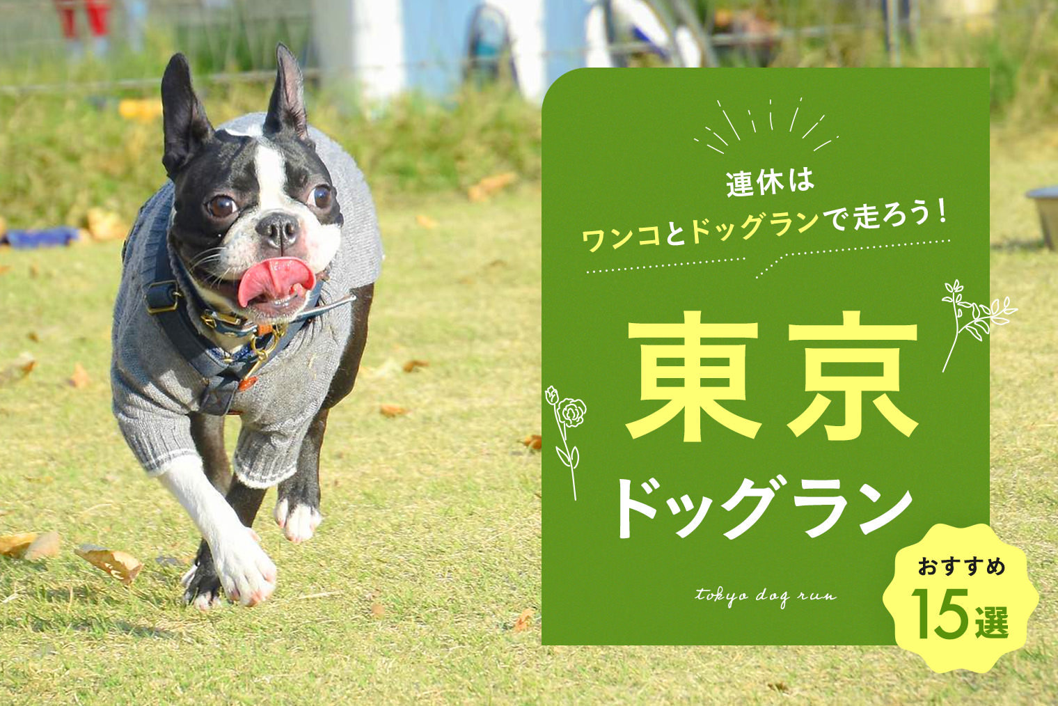 東京ドッグラン 東京都内のおすすめドッグラン15選 編集部厳選 愛犬と行きたい東京都内のドッグラン