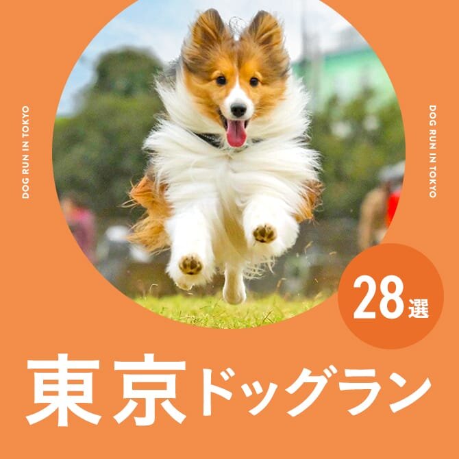 東京のドッグラン一覧まとめ｜無料や室内・カフェ併設ドッグラン
