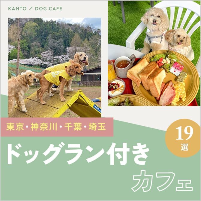 【ドッグラン付きドッグカフェ19選】東京・神奈川・千葉・埼玉で人気のドッグランカフェ！