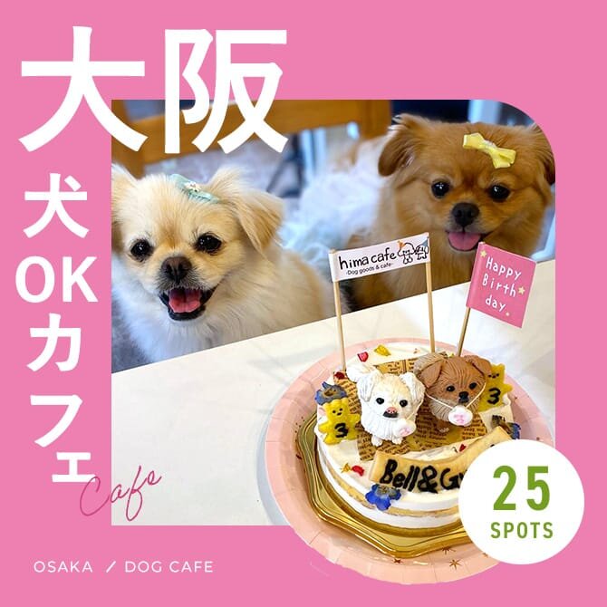 【大阪ドッグカフェ】愛犬と行けるドッグラン併設や犬連れランチができるお店