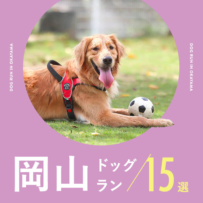 【岡山のドッグラン15選】岡山で人気のおすすめドッグラン！無料や室内型も！