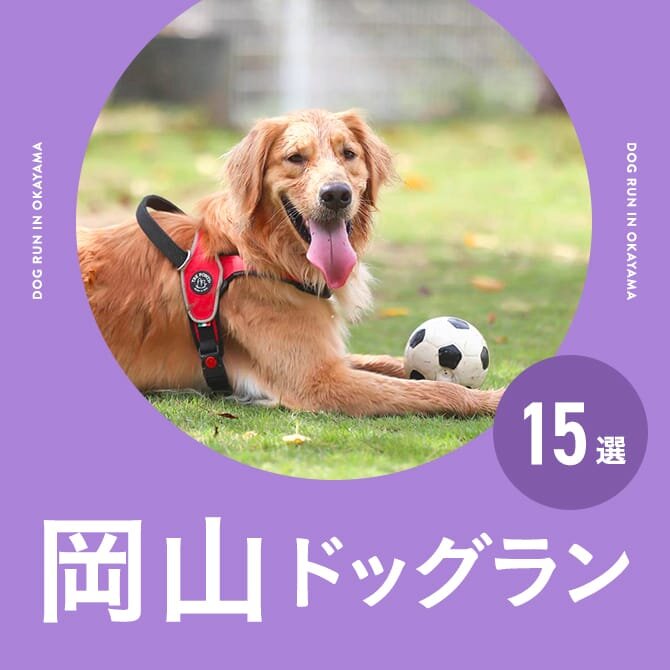 岡山のドッグラン一覧まとめ｜無料や室内・カフェ併設ドッグラン