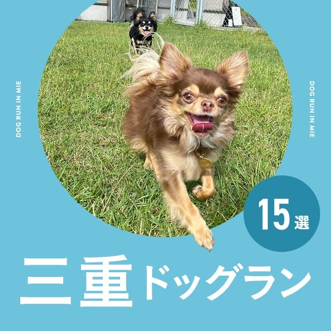 三重のドッグラン一覧まとめ｜無料や室内・カフェ併設ドッグラン