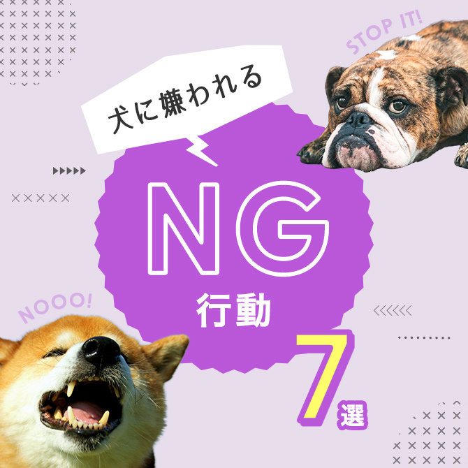 【犬に嫌われるNG行動7選】愛犬に嫌がられているかも？実は犬に嫌われる行動とは？