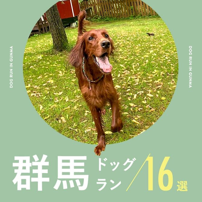 【群馬ドッグラン16選】無料ドッグランやカフェ併設、関東最大級のドッグランも！