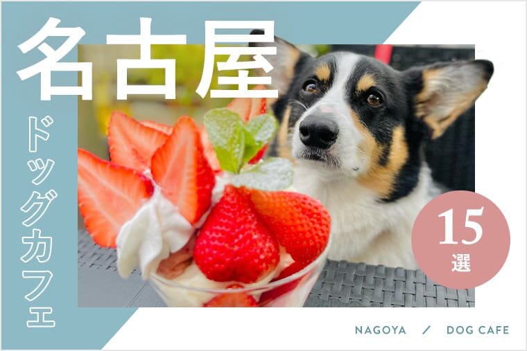 ドッグカフェ名古屋 名古屋でおすすめのドッグカフェ10選 愛犬同伴ok