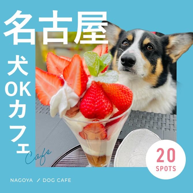 【名古屋ドッグカフェ】ドッグラン併設や犬連れランチができるお店