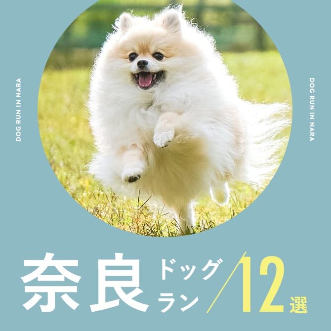 【ドッグラン奈良】奈良で人気のドッグラン12選！無料やカフェ併設も！