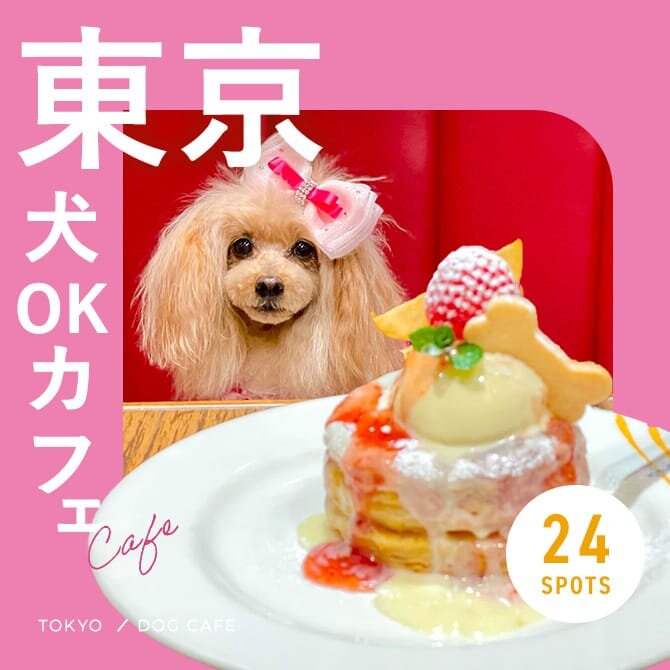 【東京ドッグカフェ】愛犬と行けるドッグラン併設や犬連れランチができるお店