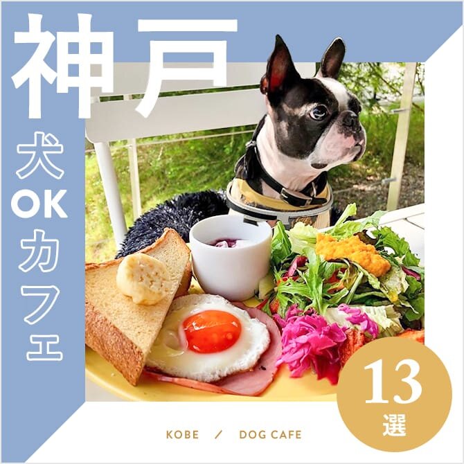 【神戸ドッグカフェ13選】大型犬OKや犬連れランチができるカフェも