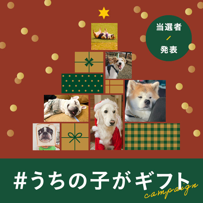 【クリスマス特別企画】うちの子がくれた今年最高の瞬間。「#うちの子がギフト」フォトコンテスト結果発表！