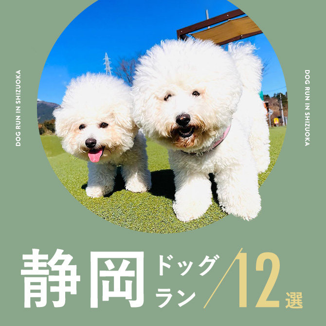 【静岡ドッグラン】静岡で人気のドッグラン12選！無料やドッグカフェ併設も！