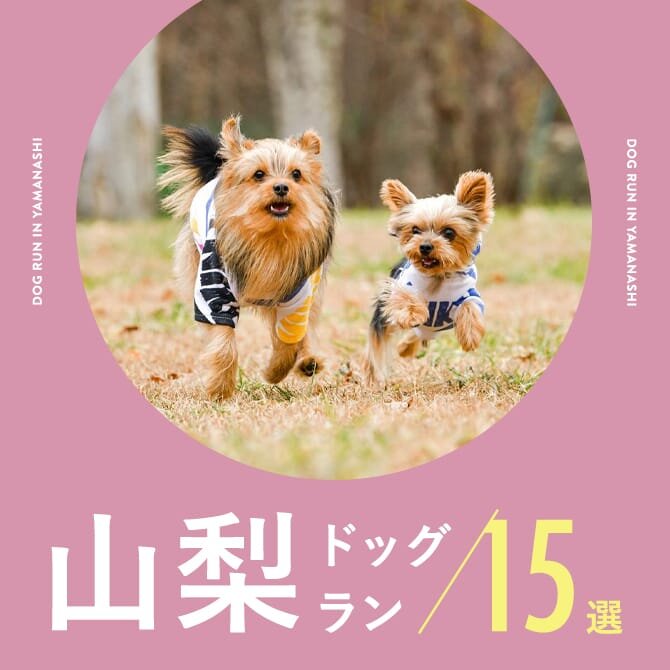 【山梨ドッグラン】山梨の人気ドッグラン15選！カフェ併設や無料ドッグランも｜2024年最新