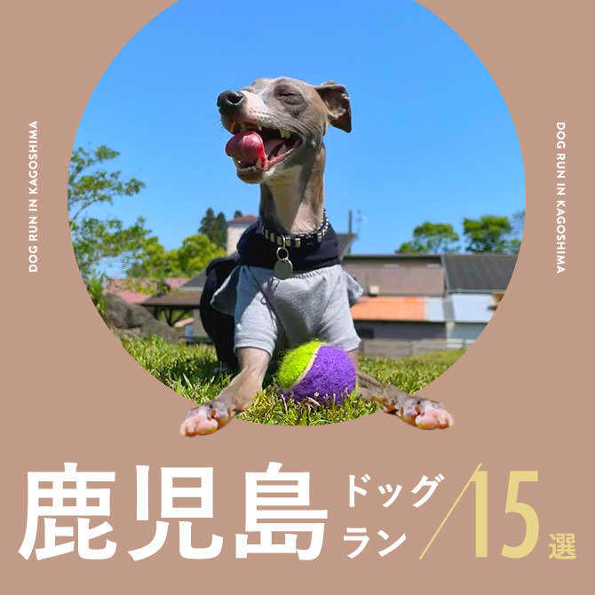 【鹿児島ドッグラン】鹿児島のドッグラン15選。カフェ併設や病院併設も！