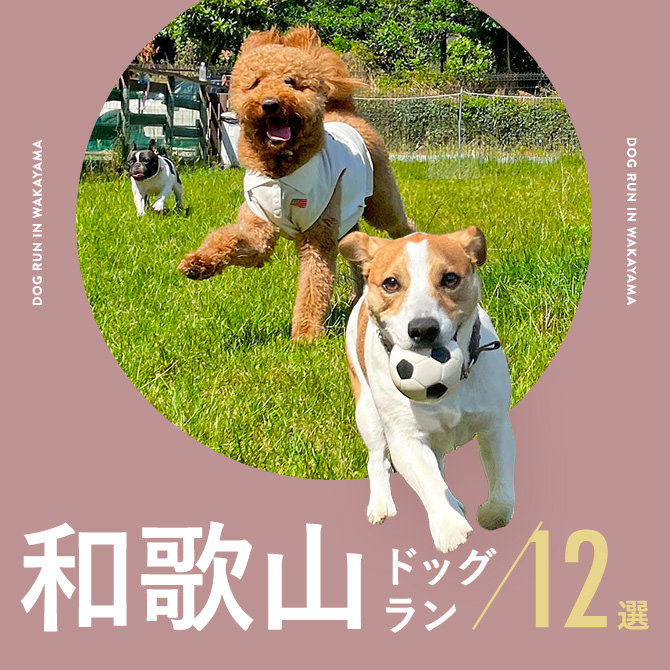【和歌山ドッグラン】和歌山で人気のドッグラン12選。ドッグカフェ併設や室内も！