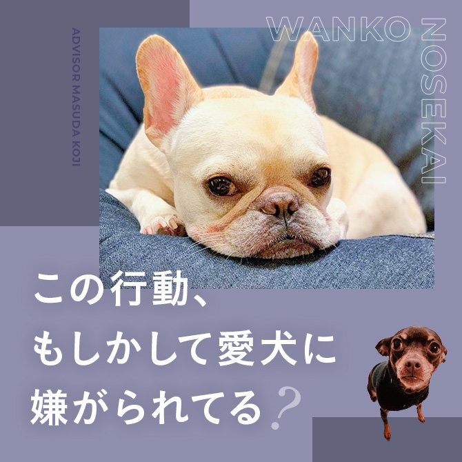 【犬に嫌われる人の行動】実はその行動、犬は嫌がっているかも？犬の気持ち本音編
